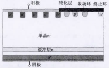 圖7 單晶MPS結(jié)構(gòu)示意圖