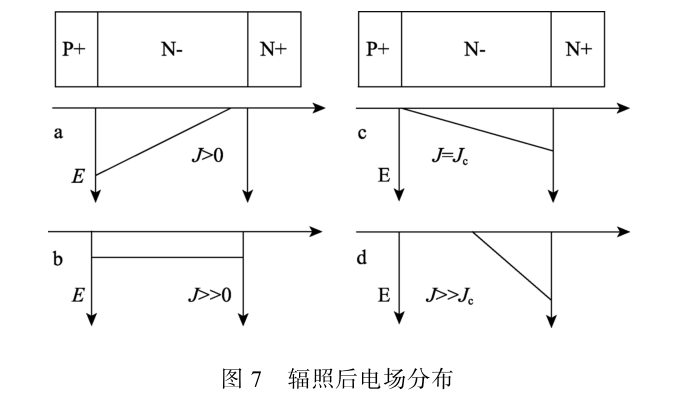 圖7 輻照后電場(chǎng)分布